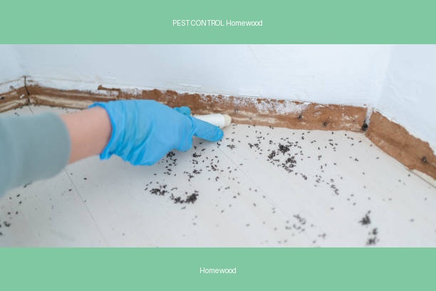 PEST CONTROL Homewood